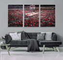 Louisville Cardinals Basketball Print Canvas - Louisville by MyGreatCanvas | Canvas Wall Art Prints | Photo Prints & Wall Decor