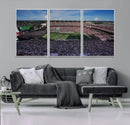 South Carolina Gamecocks Football Team Print - Columbia