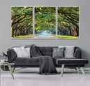 Wormsloe State Plantation Driveway Wall Art Canvas Print by MyGreatCanvas | Canvas Wall Art Prints | Photo Prints & Wall Decor