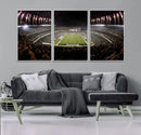 Eagles Field Stadium Wall Art - Philadelphia Eagles Football by MyGreatCanvas | Canvas Wall Art Prints | Photo Prints & Wall Decor