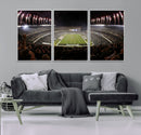 Eagles Field Stadium Wall Art - Philadelphia Eagles Football