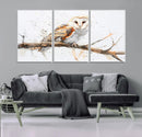Barn Owl Wall Art on Branch | Stunning Canvas Print for