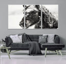 Framed Black and White Horse Wall Art | Ready to Hang and by MyGreatCanvas | Canvas Wall Art Prints | Photo Prints & Wall Decor