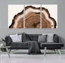 Rustic Wood Rings Wall Art | Nature-Inspired Tree Ring