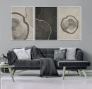 Modern Abstract Tree Ring Canvas Art Set | 3 Panel Large
