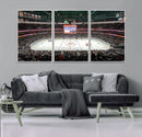 Honda Center California Anaheim Ducks Ice Hockey Stadium
