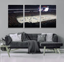 Honda Center California Anaheim Ducks Hockey Stadium Wall