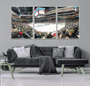 Xcel Energy Center St Paul Minnesota Wild Ice Hockey Stadium