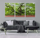 Framed Angel Oak Tree Wall Art - 3-Panel Canvas Prints,