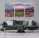 Carter-Finley Stadium Art Sunset Game Triple Canvas Wall Art