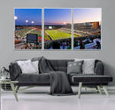 University of North Texas Mean Green Football Team Print - by MyGreatCanvas | Canvas Wall Art Prints | Photo Prints & Wall Decor