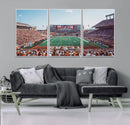 Framed Texas Memorial Stadium Canvas, University of Texas