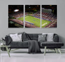 Florida Atlantic University Owls Canvas Print, Football Team by MyGreatCanvas | Canvas Wall Art Prints | Photo Prints & Wall Decor