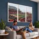 University of Illinois Fighting Illini Football Team Print -