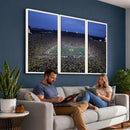 University of Michigan Wolverines Football Team Print - Ann