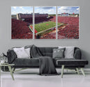 University of Nebraska Cornhuskers Football Team Print -