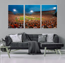 Clemson University Tigers Football Team Print - Clemson