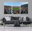Michigan State Spartans Football Team Art Print - East