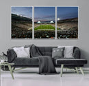 Michigan State Spartans Football Team Print - East Lansing