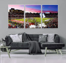 Stanford University Cardinal Football Team Print - Stanford