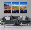 Ball State Cardinals Football Team Print - Muncie Scheumann