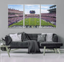 TCU Horned Frogs Football Team Print - Fort Worth Amon G.