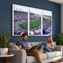 The Texas Christian University TCU Horned Frogs Football