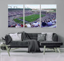 The Texas Christian University TCU Horned Frogs Football