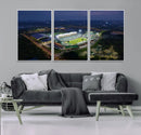 The University of South Florida Bulls Football Team Print - by MyGreatCanvas | Canvas Wall Art Prints | Photo Prints & Wall Decor