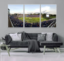 The Duke University Blue Devils Football Team Print - Durham