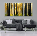 Sunlit Forest Wall Art Canvas Print – Large Framed Woodland