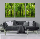 Lush Green Forest Canvas Print | 3-Panel Forest Wall Art | by MyGreatCanvas | Canvas Wall Art Prints | Photo Prints & Wall Decor