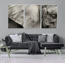 Elephant Wall Art Canvas Print