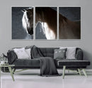 Large Wall Art Cream Colored Horse on Grey Background Canvas