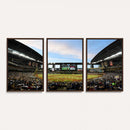 Arizona Diamondbacks Team Print - Phoenix Chase Field
