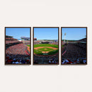 Cincinnati Reds Baseball Canvas Print - American Ball