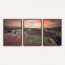 Indiana Memorial Stadium Wall Art Canvas Print, Framed
