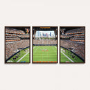 Chicago Bears Soldiers Field Wall Art Canvas Print – Framed
