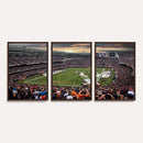 Chicago Bears Soldiers Field Wall Art Canvas Print – Framed