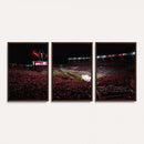 William Brice Stadium Wall Art Print – Baseball Game Room