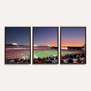 Dooley Stadium Wall Art, Sports Arena Canvas Print, Dooley