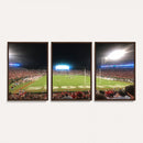 Dooley Stadium Wall Art, Sports Arena Panoramic Canvas