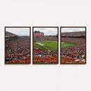 Jordan-Hare Stadium Wall Art Canvas Print, College Sports