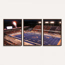 Boise State Broncos Albertsons Stadium Wall Art Canvas Print