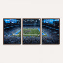 Detroit Lions Stadium Wall Art Canvas Print, Football Field