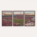 Donald W. Reynolds Razorback Stadium Wall Art Canvas Print –