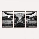 Black White Texas Longhorn Bull Canvas Wall Art, Western Ranch Cattle Photography Print, Rustic Farmhouse Cowboy Decor Artwork