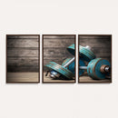 Dambell and Sport Wall Art Canvas Print