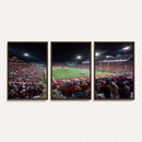 Mississippi State Bulldogs Stadium Wall Art Canvas Print –