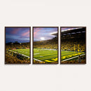 University of Oregon Ducks Football Team Print - Eugene